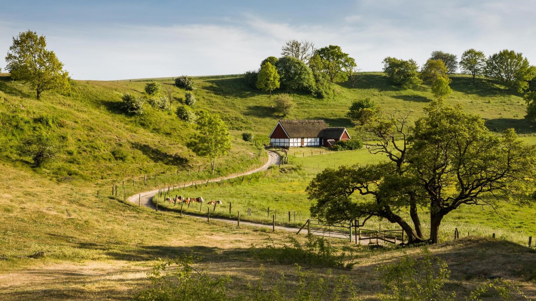 Kosta Boda och Stockholm